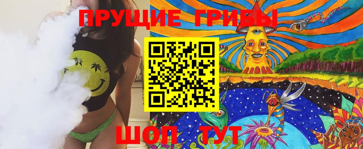 Галлюциногенные грибы Psilocybine cubensis Тихорецк