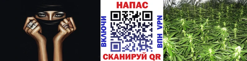 Каннабис тримм  продажа наркотиков  Тихорецк 